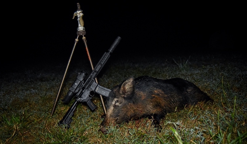 Hog Hunting With Thermal SilencerCo AR pistol