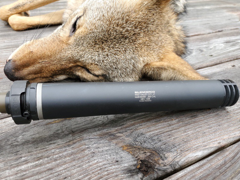 coyote hunting with suppressors silencerco