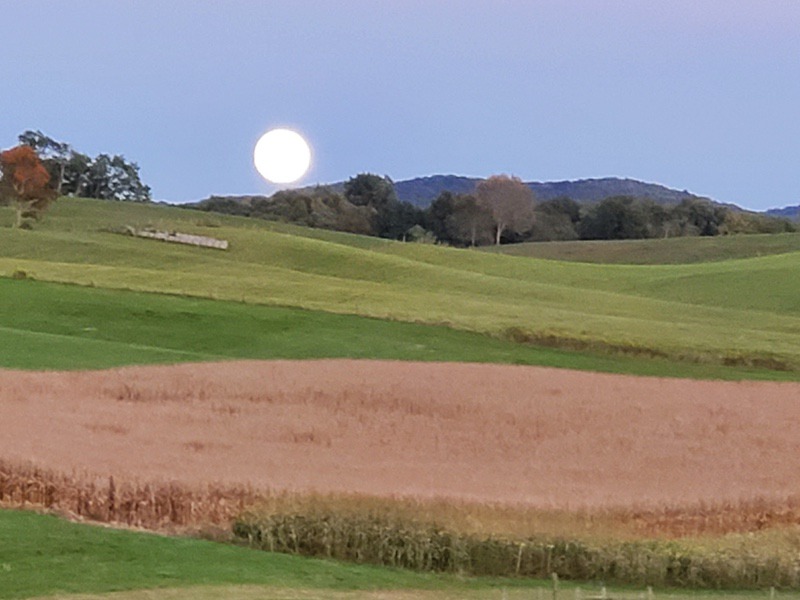 moon over field 