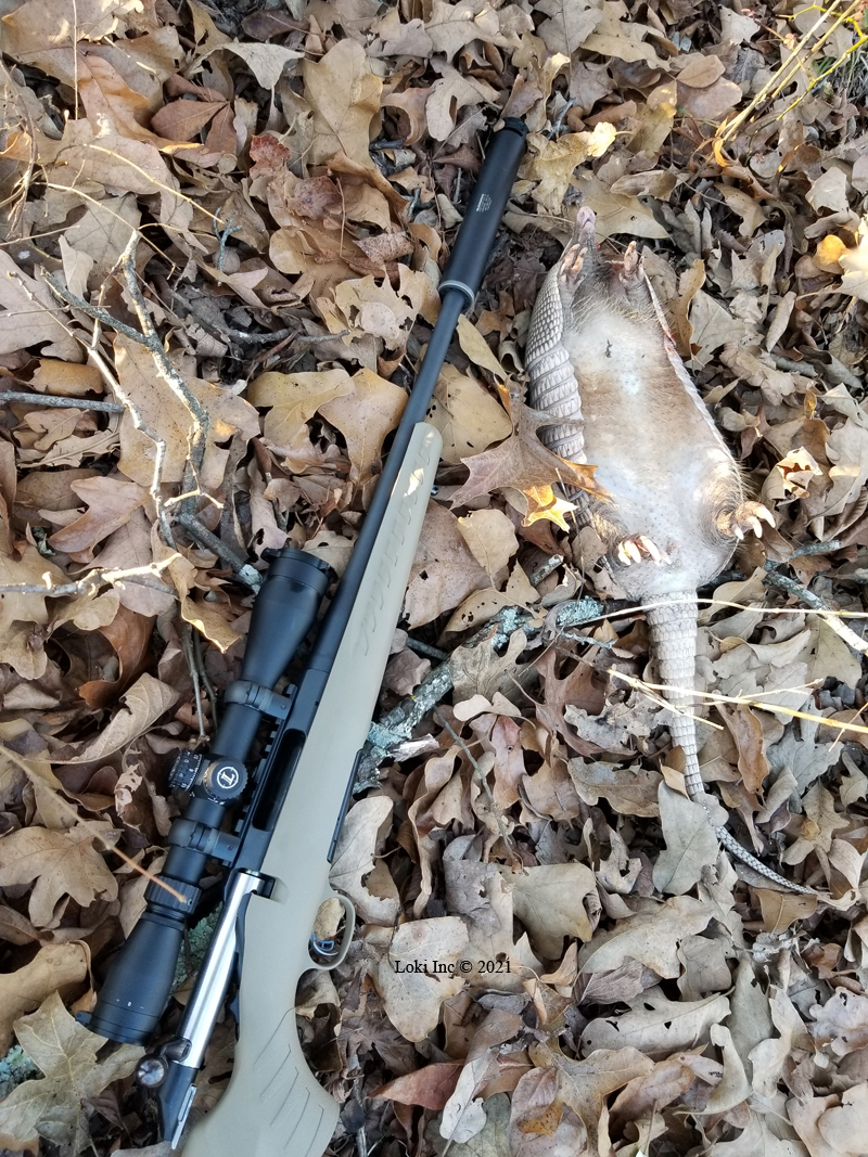 Ruger American with Hoover hog and Harvester