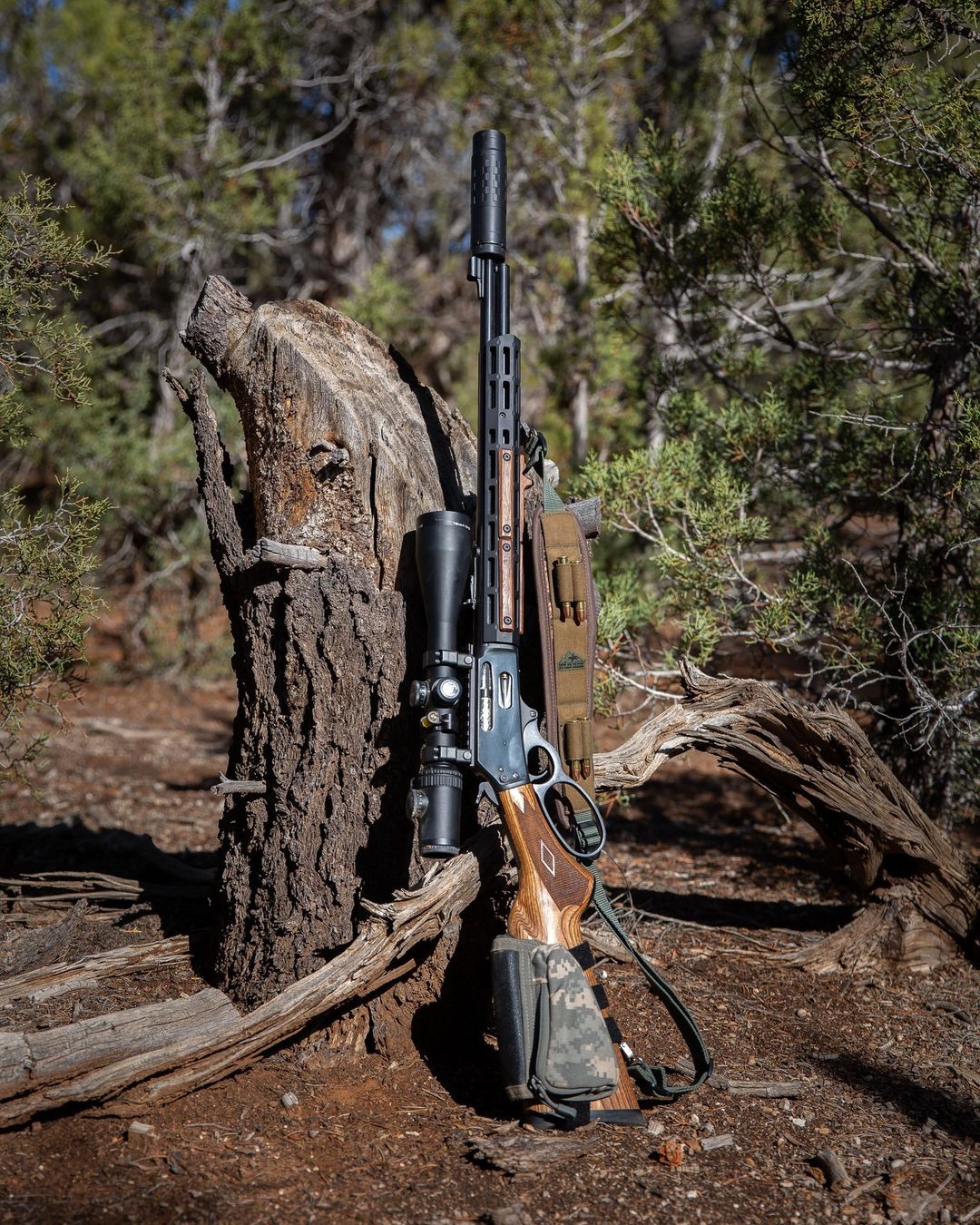 Marlin 336BL in .30-30 suppressed with a Hybrid 46M in short configuration.