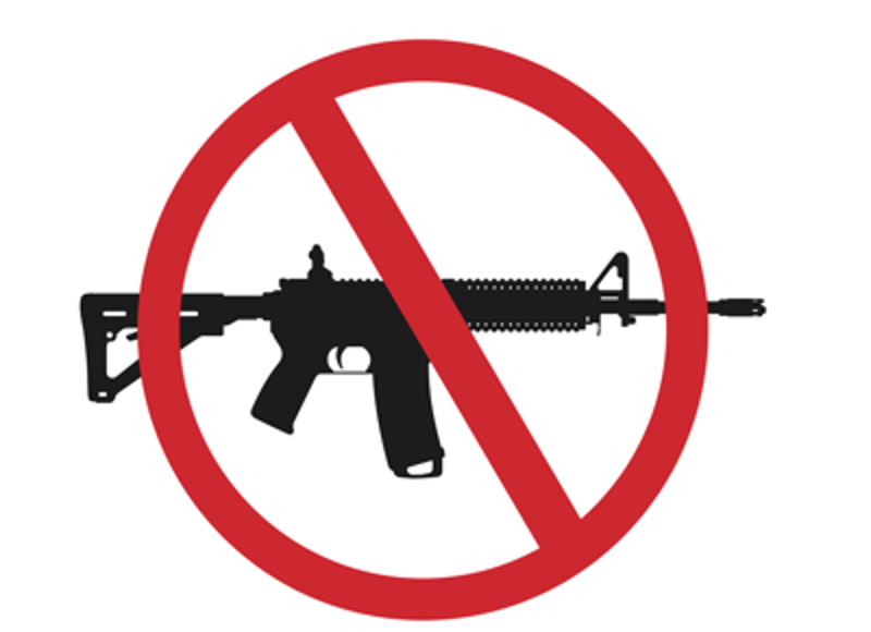 AR-15 ban sight