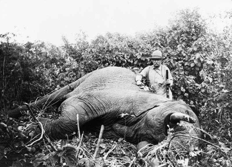 Teddy Roosevelt elephant hunt with suppressed rifle