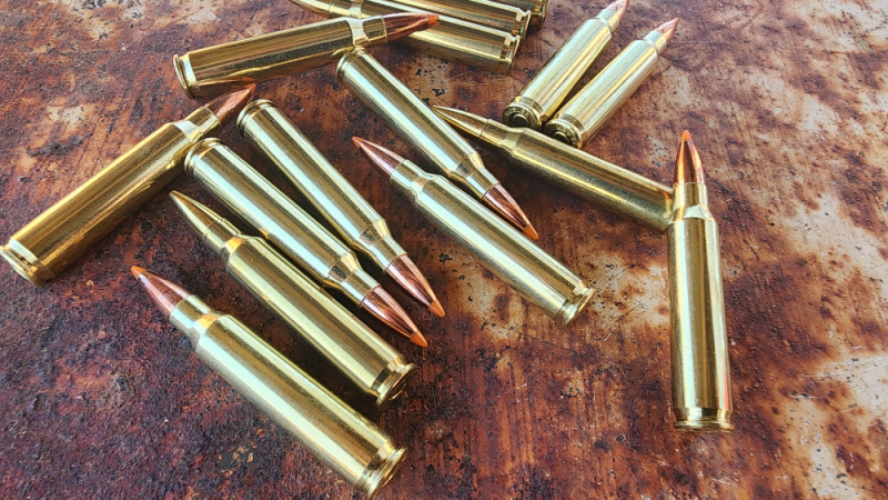 5.56 and .223 Remington cartridges