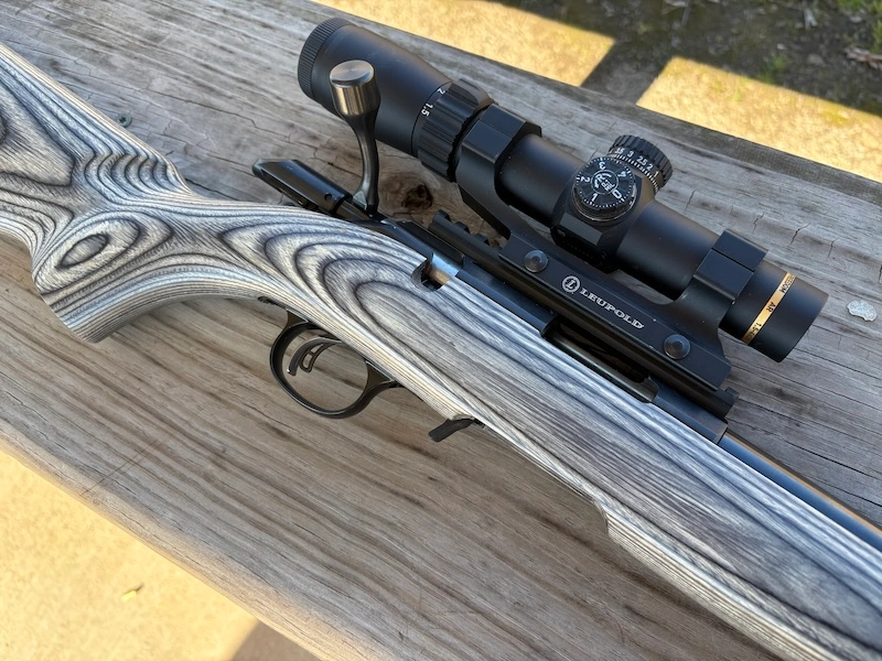 laminate stock on bolt action rimfire rifle