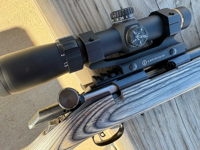 Leupold .223 optic mounted to bolt-action rimfire rifle