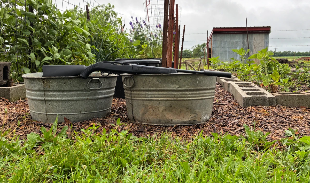 ruger 10/22 takedown with SilencerCo Sparrow in a garden of raised beds - suppressed garden gun