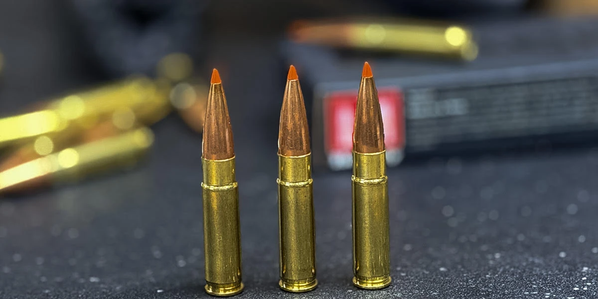 Three .300 BLK cartridges