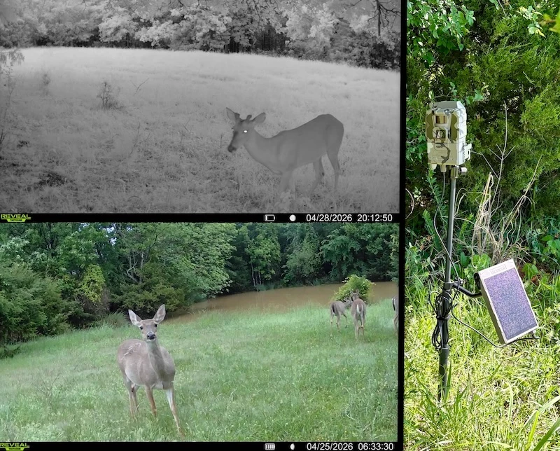 Tactacam Reveal Pro 4.0 Solar trail camera images of deer and solar panel mounted on a tree